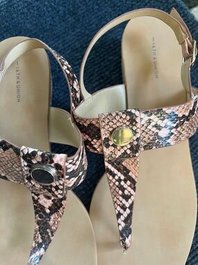 14th & Union brown Snake-Print T-Strap Sandals with Gold Accent